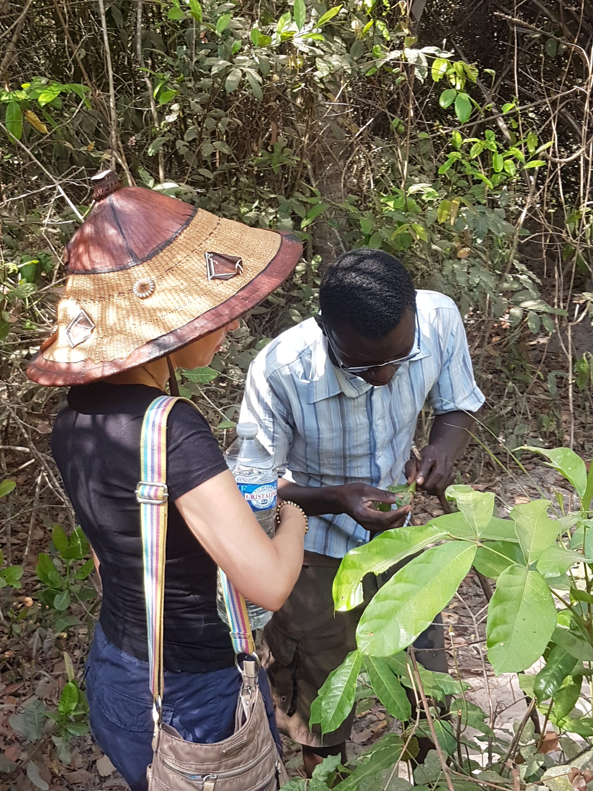 travail sur le terrain